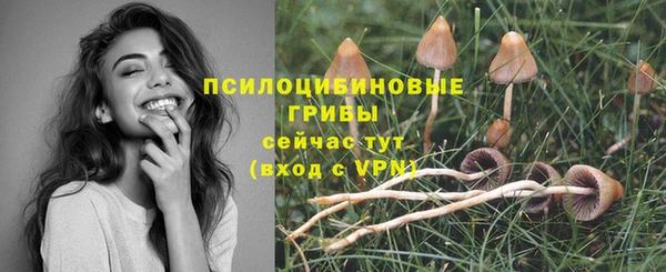 2c-b Балахна