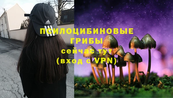 дурь Балабаново