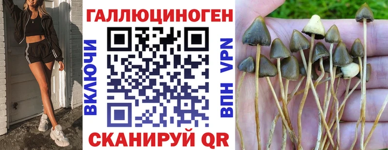 это состав  купить наркоту  Гаврилов-Ям  Псилоцибиновые грибы мицелий 
